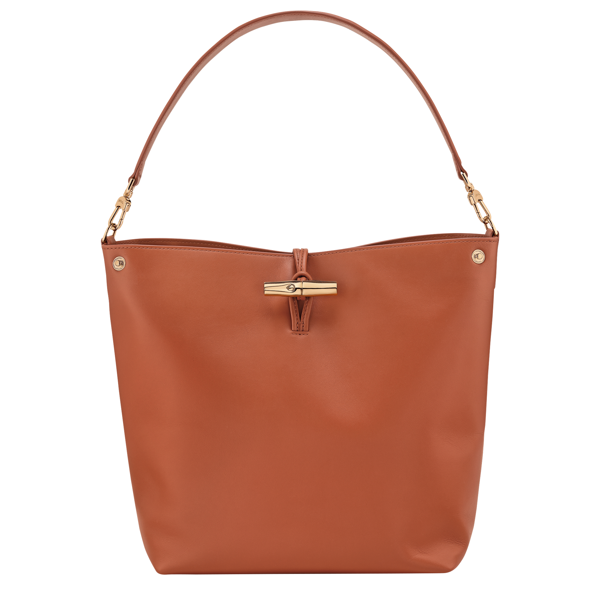 Hobo 袋 M, 深褐色 - 查看 1
        6 - 放大 Le Roseau Hobo 袋 M, 深褐色