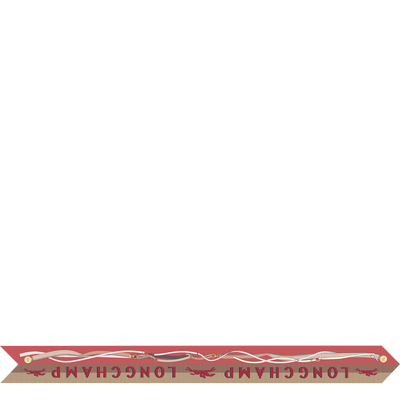 风驰电掣 细丝带 , 珊瑚紅色 - 真丝