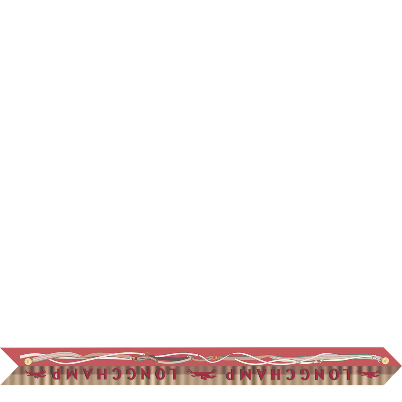 风驰电掣 细丝带 , 珊瑚紅色 - 真丝  - 查看 1 2