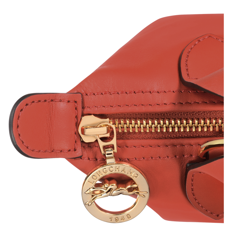 Le Pliage Xtra XS Handbag , Sienna - Leather  - View 7 of  7