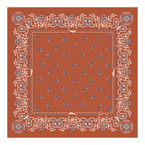 Silk scarf 50