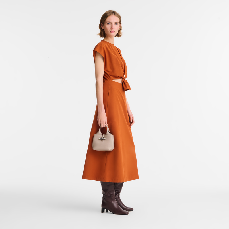 Le Roseau XS 手提包 , 陶灰色 - 皮革  - 查看 2 7