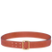 土黄色