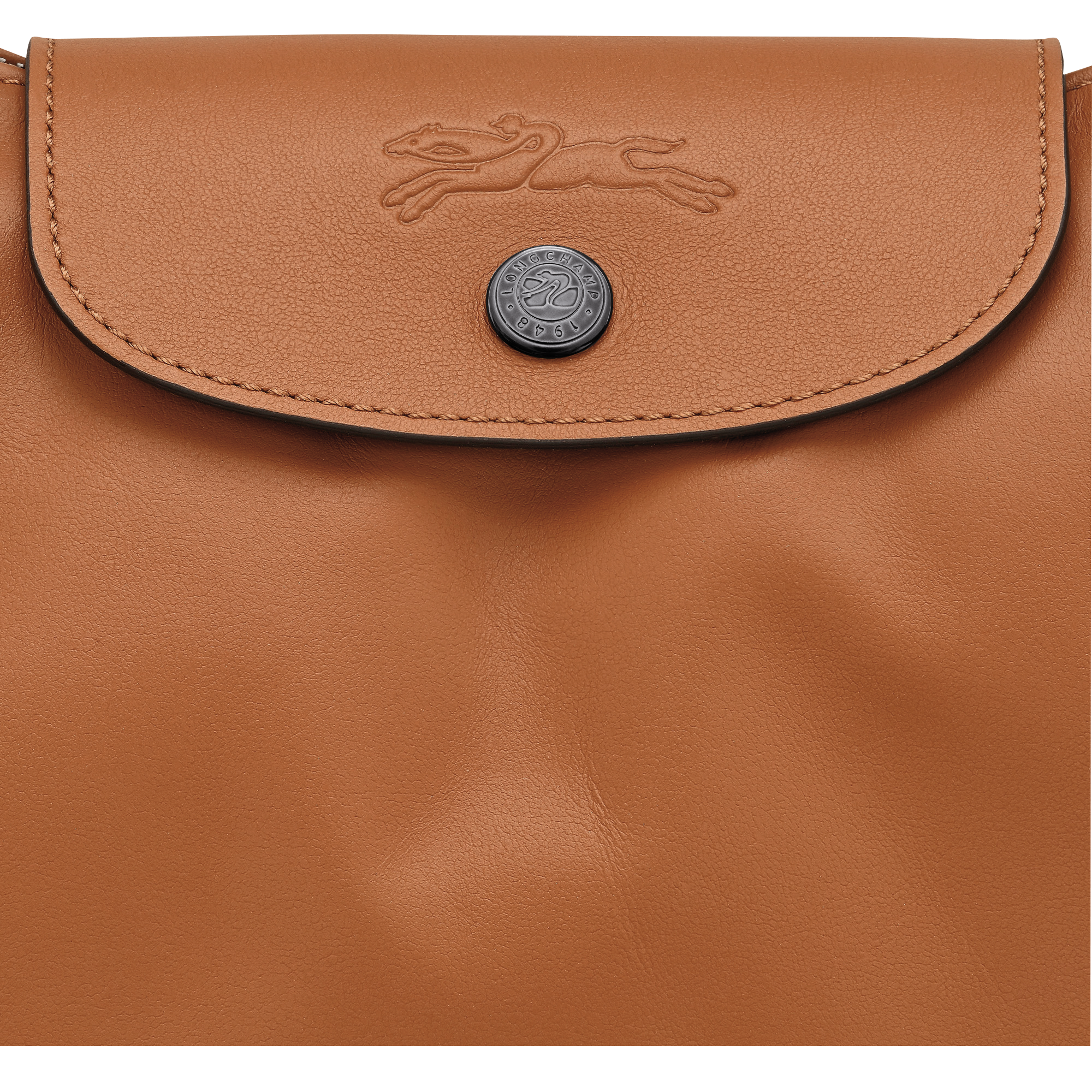 Le Pliage Xtra 单肩包  L, 腰果棕