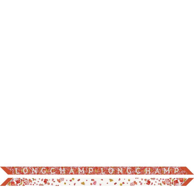 Frise Fleurie（花漾春日） 细丝带 , 珊瑚紅色 - 真丝  - 查看 1 1