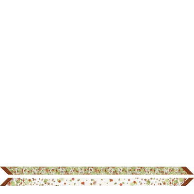 Frise Fleurie（花漾春日） 细丝带 , 干邑色 - 真丝