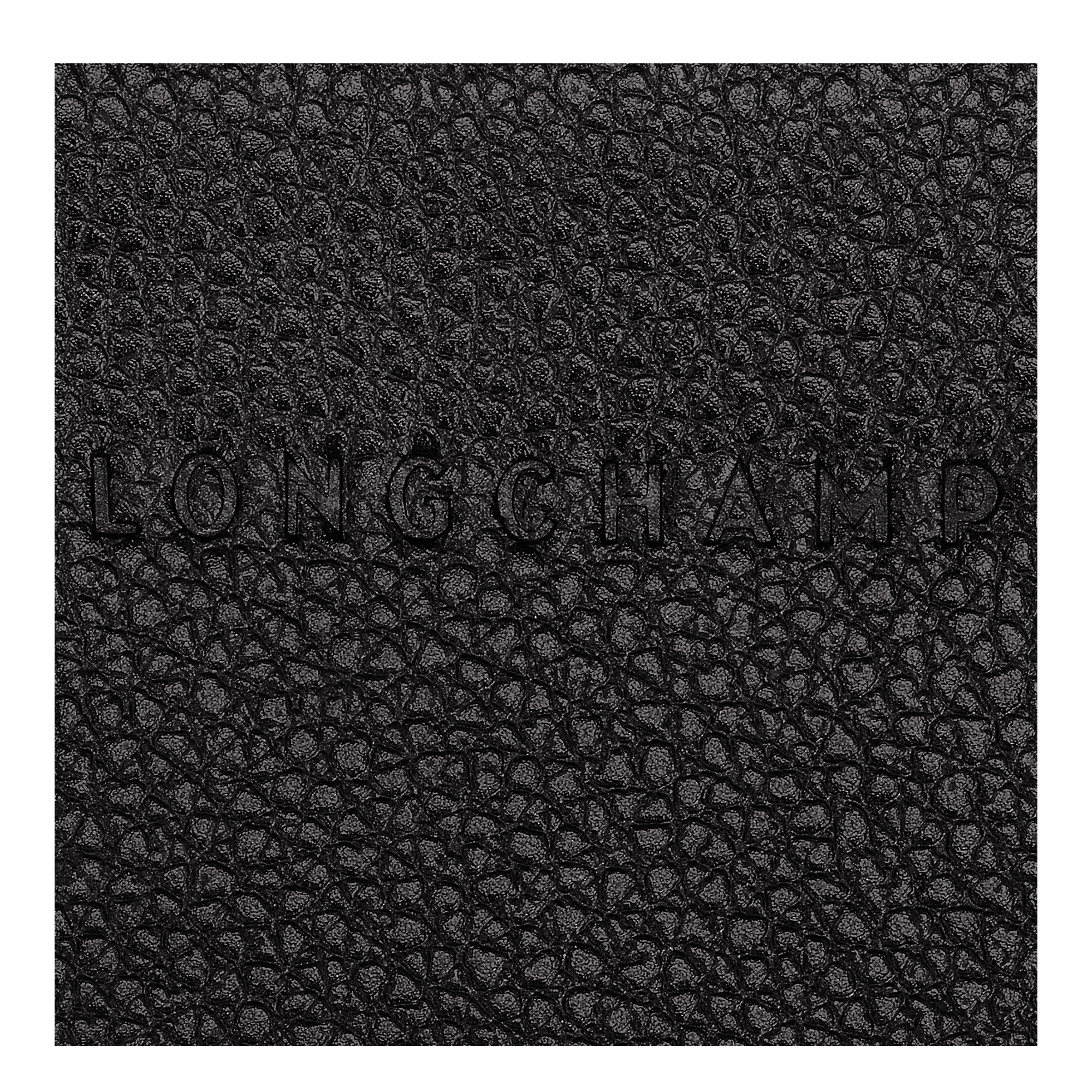 卡夹, 黑色 - 查看 4
        4 - 放大 Le Foulonné 卡夹, 黑色