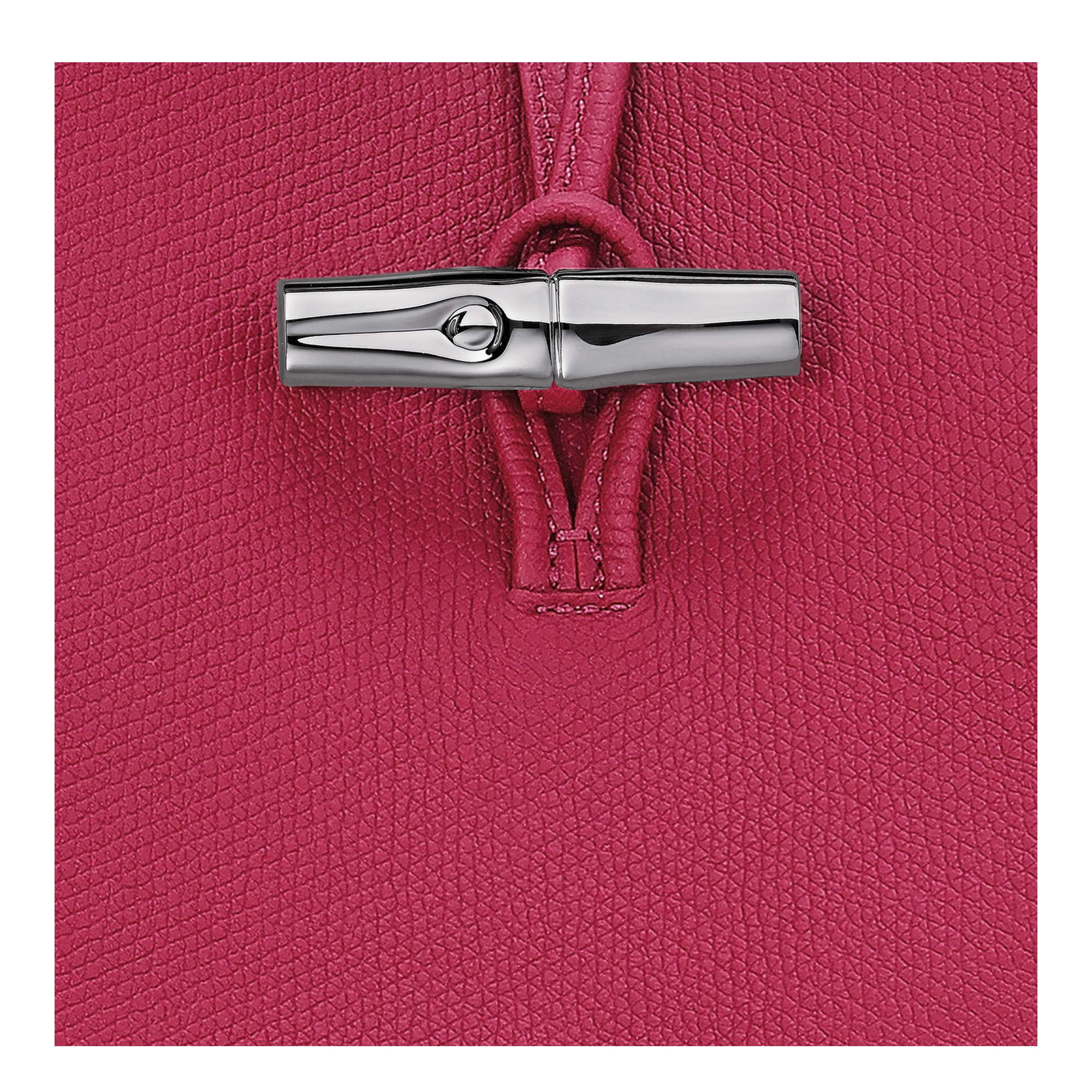 单肩包 M, 甜菜根紫 - 查看 6
        6 - 放大 Le Roseau 单肩包 M, 甜菜根紫