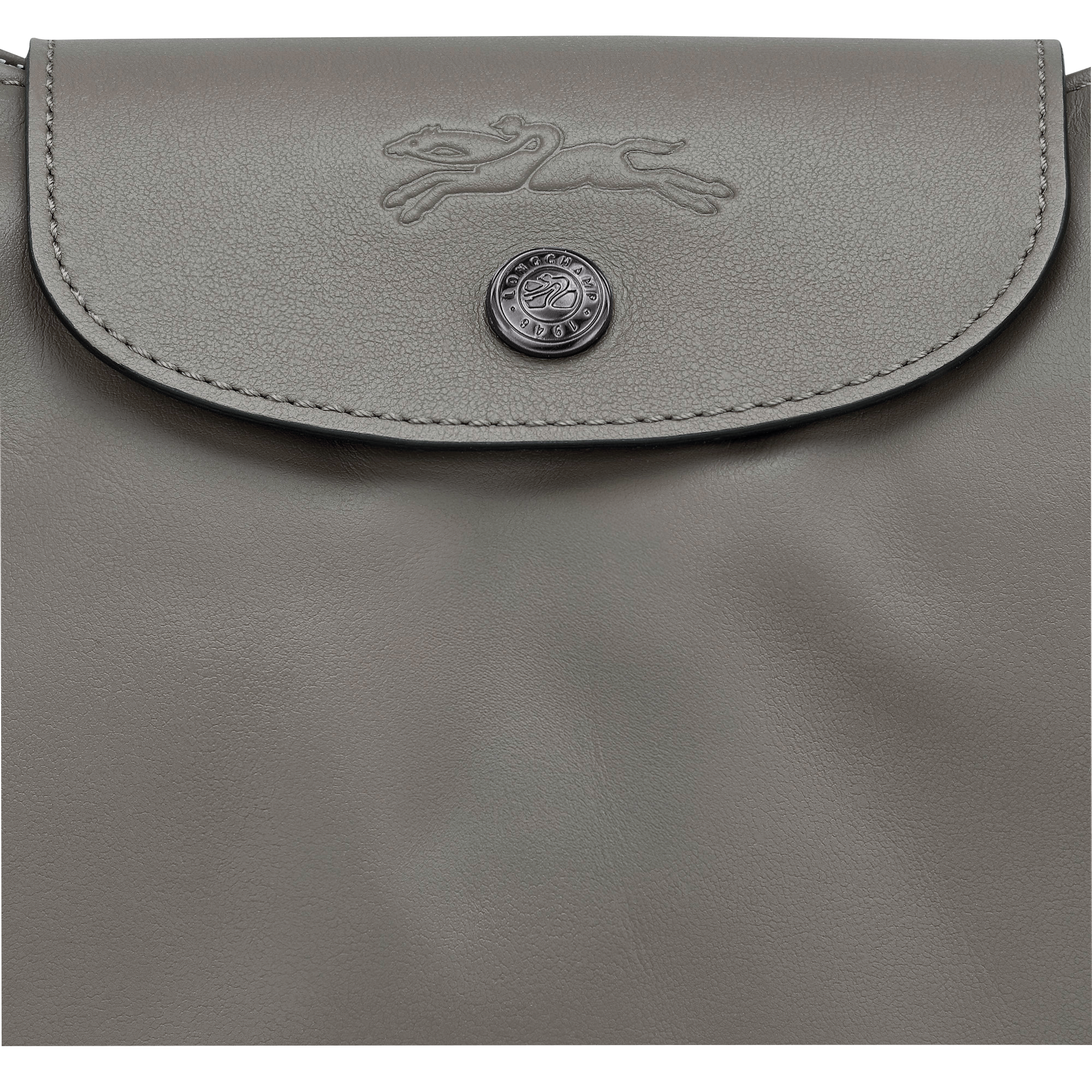 Le Pliage Xtra 单肩包  L, 斑鸠灰