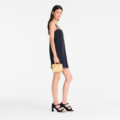 Le Pliage Xtra XS 斜挎包 , 金色 - 皮革