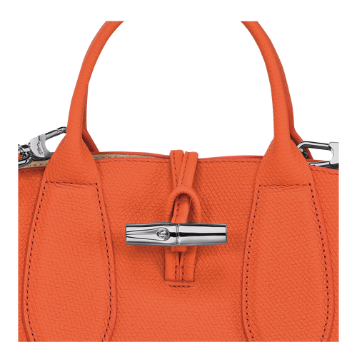Roseau S Handbag , Orange - Leather - View 7 of  7