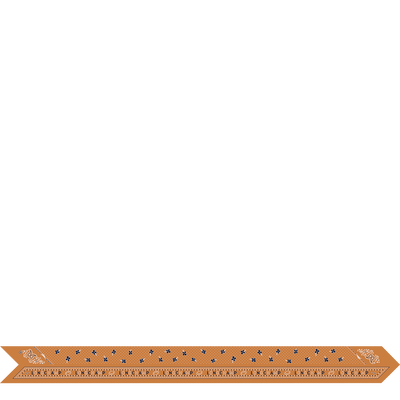 法式头巾 细丝带 , 琥珀棕 - 真丝