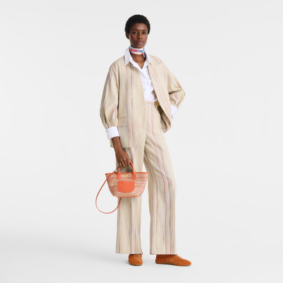 Le Pliage Collection 篮袋 XS, 彩虹色