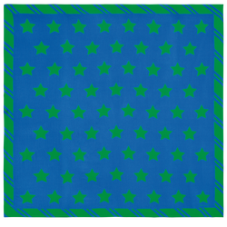 Le Pliage Casaque系列 披肩 , 深蓝色/草坪绿 - 其他