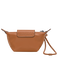 腰果棕