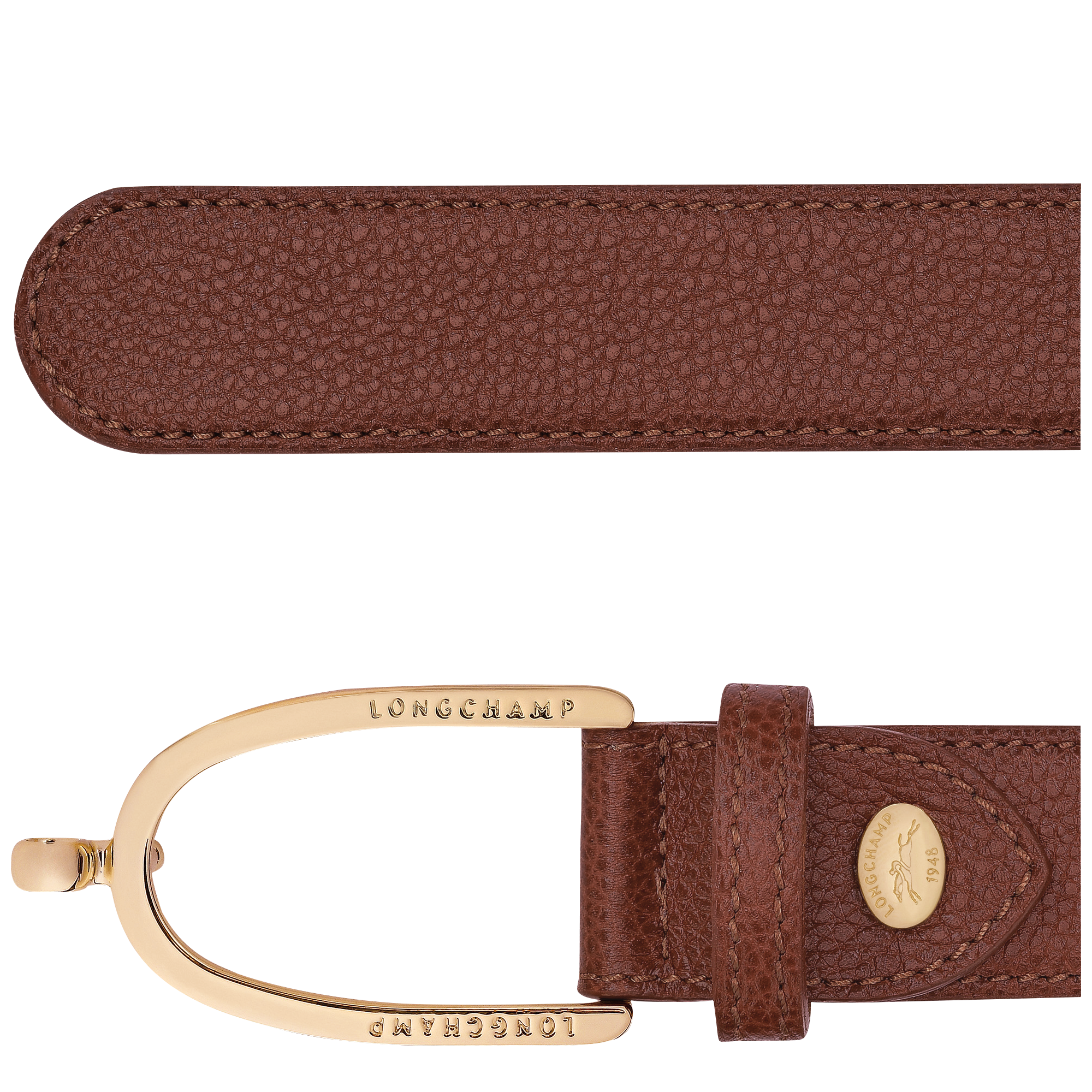 null Ladies' belt, Coffee