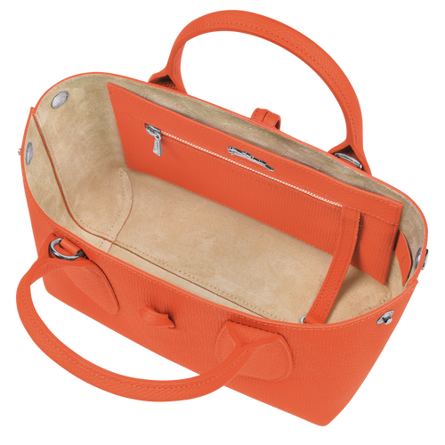 Roseau S Handbag , Orange - Leather - View 6 of  7