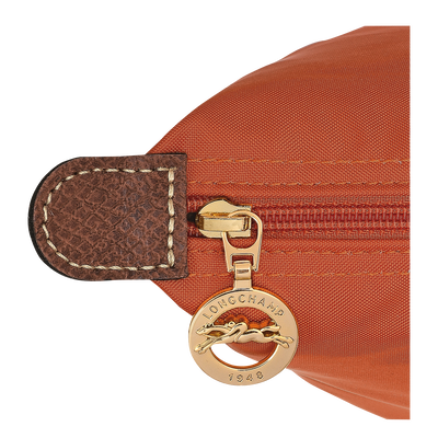 Le Pliage Original 双肩背包 M, 砖红色