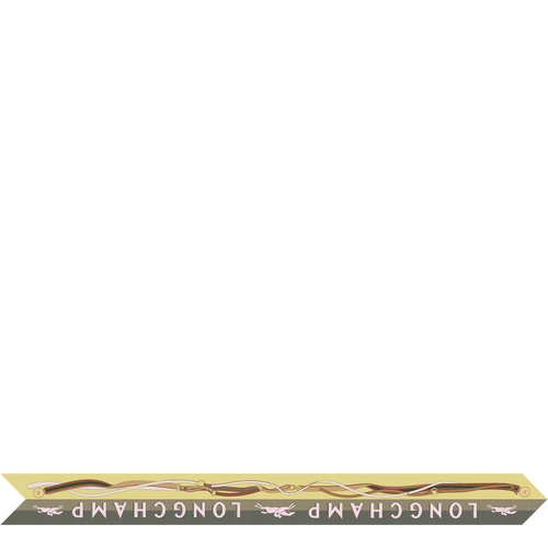 细丝带