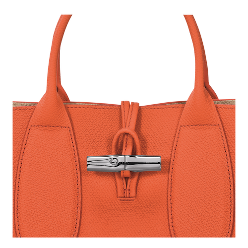 Roseau M Handbag , Orange - Leather - View 6 of  6
