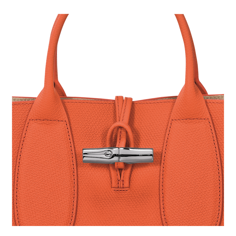 Roseau M Handbag , Orange - Leather  - View 6 of  6