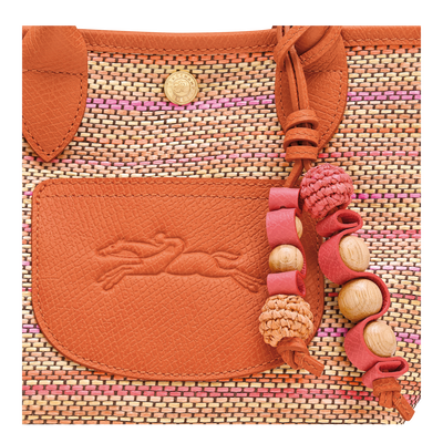 Le Pliage Collection 篮袋 XS, 彩虹色