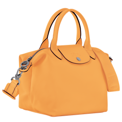 Le Pliage Xtra S 小号手提包 , 杏黄色 - 皮革