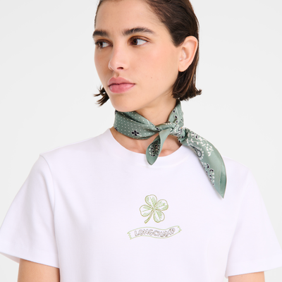French Bandana 丝巾 50, Tundra